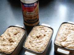 J'ai testé : deux recettes 