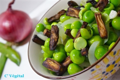 8635342_f80f69bc1a_m1