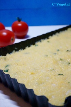 8636818_cfd16261cf_m1