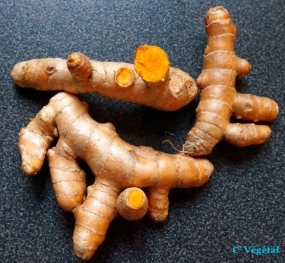 8638353_b0f590bac8_m1