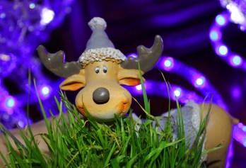 new-year-605587_1920